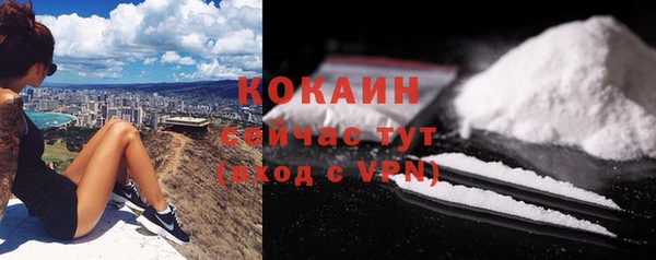 молекула духа Фёдоровский