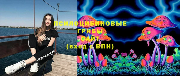 MESCALINE Корсаков