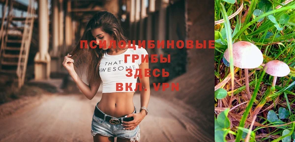 скорость Кинешма
