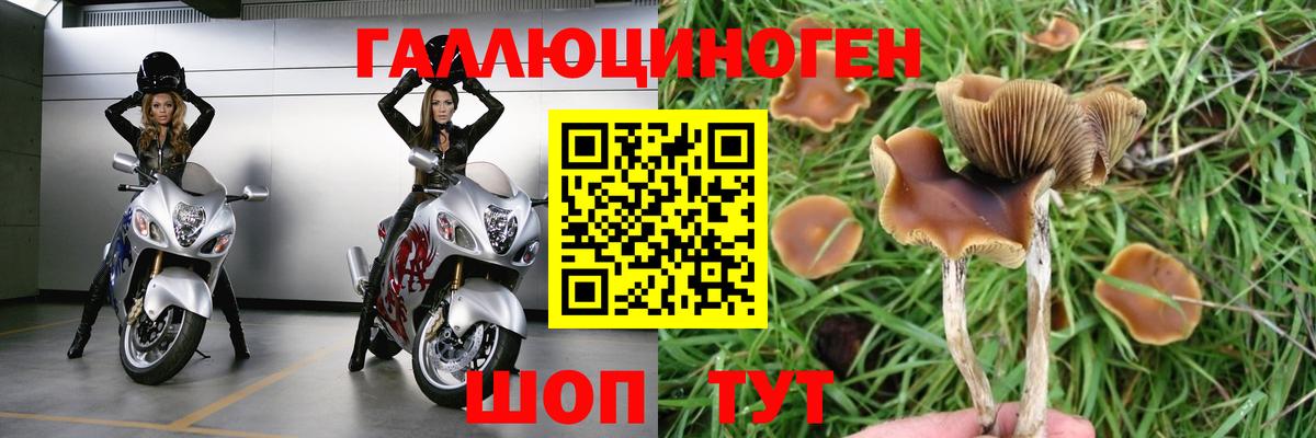 Псилоцибиновые грибы ЛСД Карталы