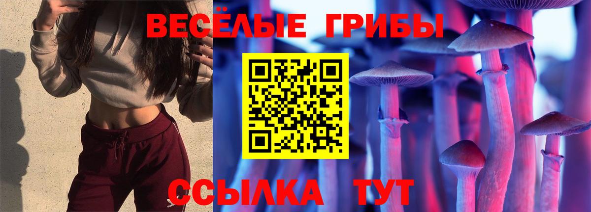 Галлюциногенные грибы Psilocybine cubensis  Вход с VPN  Псилоцибиновые грибы MAGIC MUSHROOMS  Карталы 